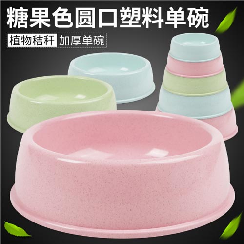 [HCM]Bát đựng thức ăn chó mèo