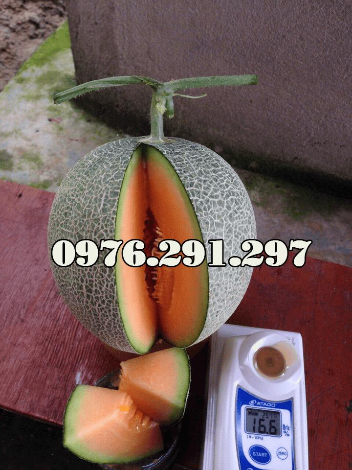 [HCM]Máy đo độ ngọt điện tử Pal 1 Attago - Nhật Bản
