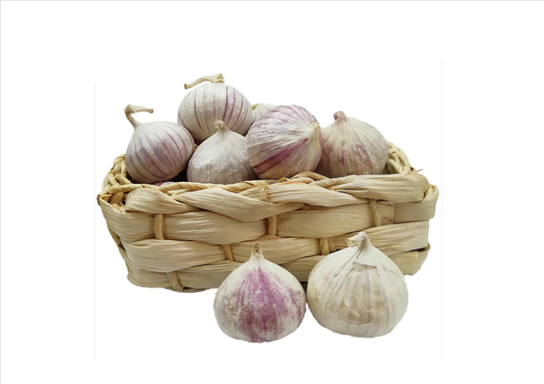 1KG củ tỏi Cô Đơn
