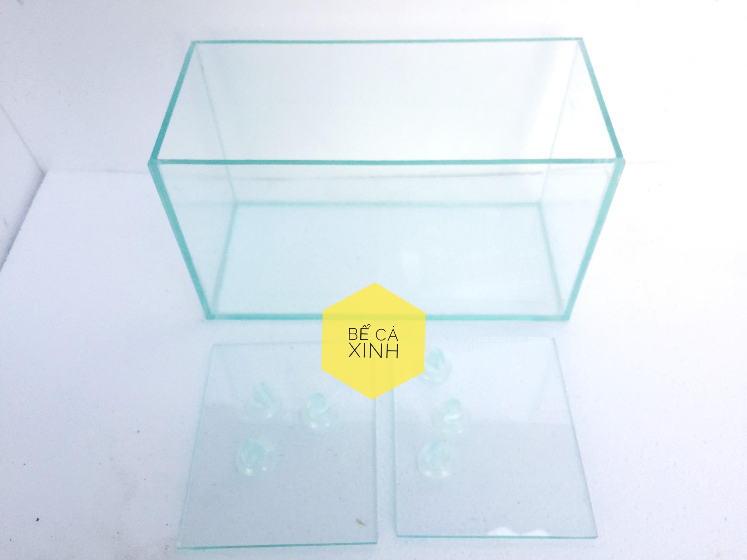 Bể cá betta ngăn ba, bể cá mini để bàn ( tấm ngăn có thể tháo lắp)
