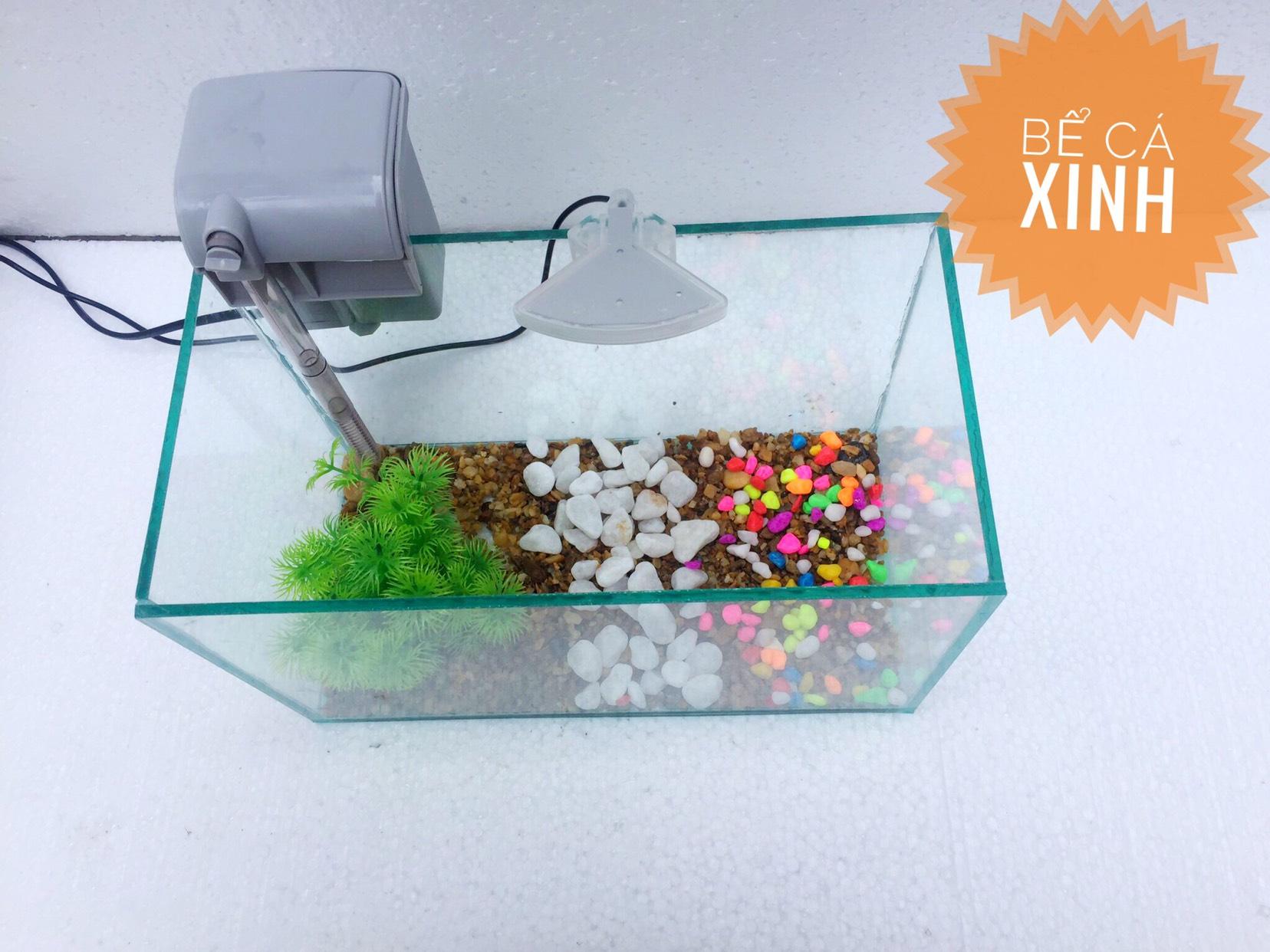 Bộ sản phẩm bể cá mini để bàn