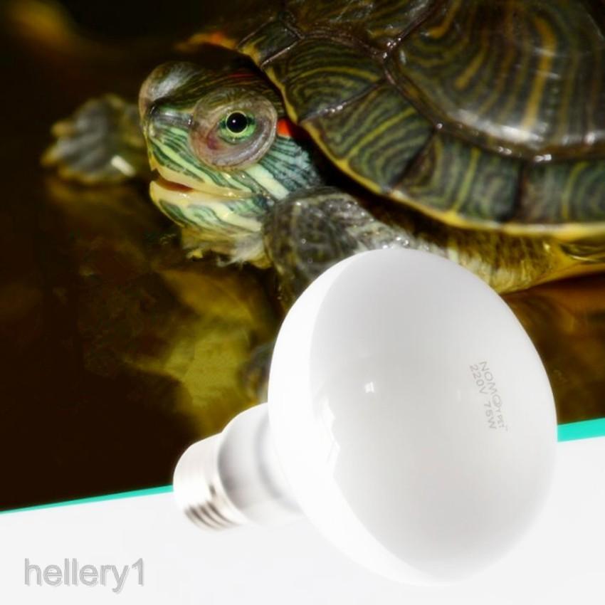 Đèn sưởi ngày cho bò sát UVA - bóng đèn cho bò sát