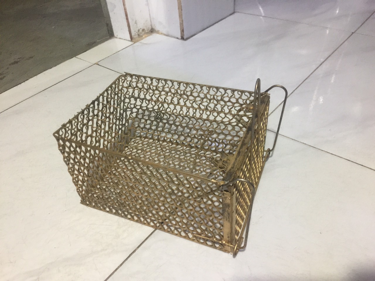 Bẫy chuột thông minh, bẫy chuột lồng sắt  - MICE.STORE