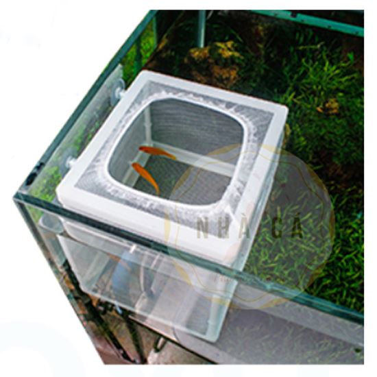 LỒNG DƯỠNG CÁ DẠNG LƯỚI 15x15x15 - LỒNG ẤP CHO CÁ, TÔM LỘT VỎ-LỒNG TÁCH CÁ