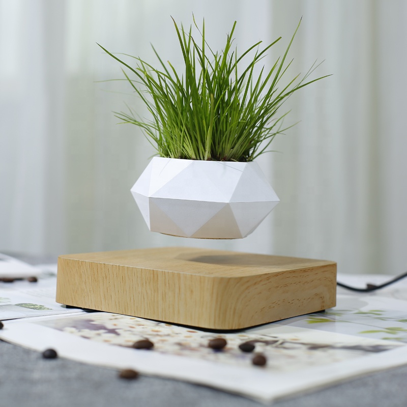kệ trưng bày sản phẩm bonsai bay lơ lửng