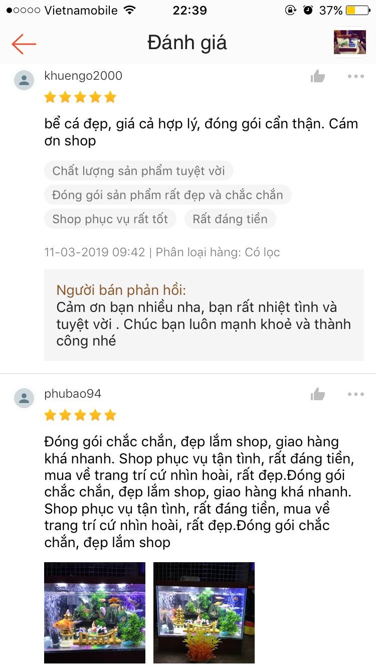 Bể cá mini đèn led để bàn + lọc thác