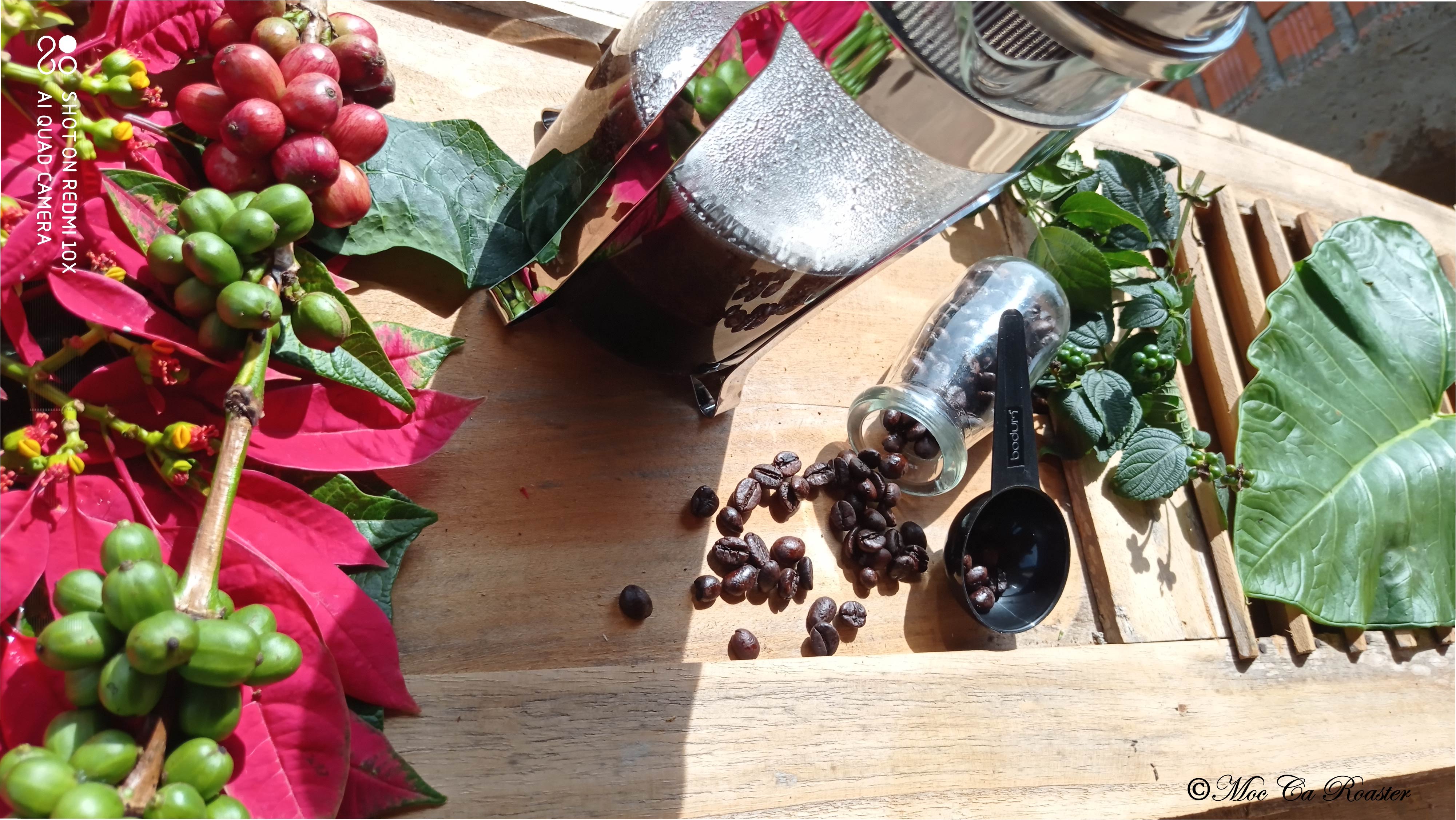 Café nguyên chất Mộc Ca - Mùa Đông 1kg