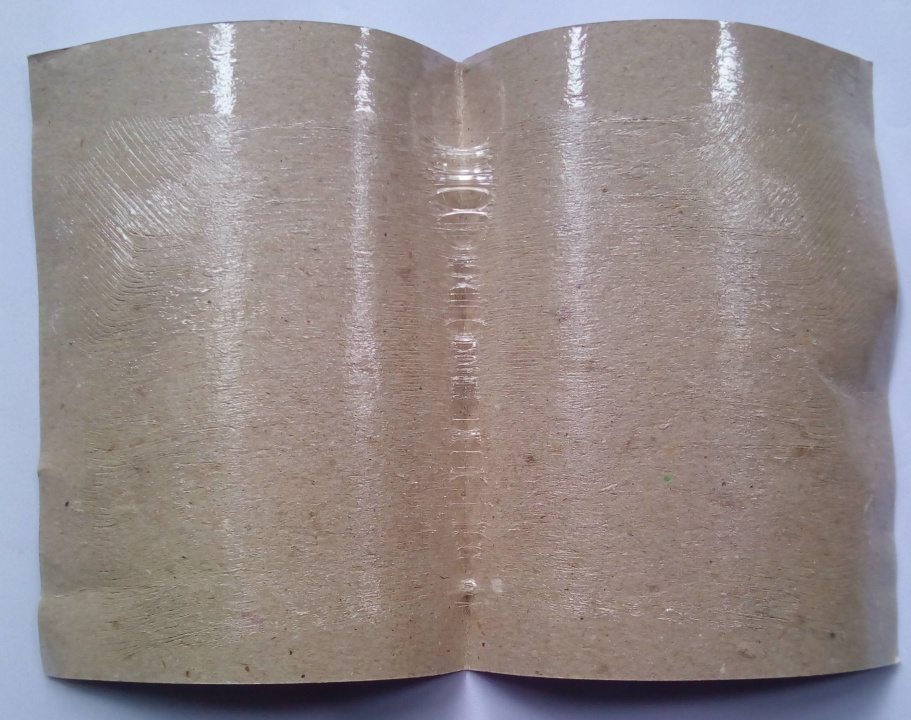 Keo dính ruồi (25 tấm)