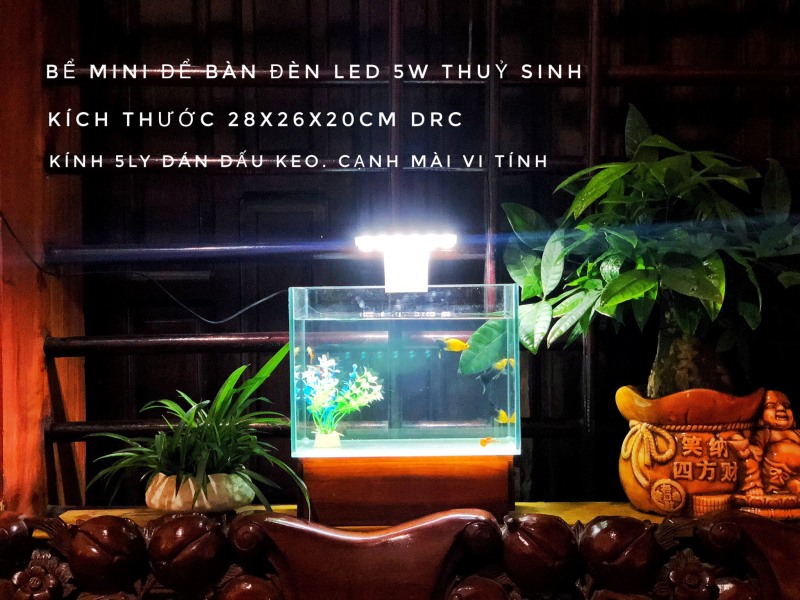 RBS Bể cá để bàn 28x16x20cm bo cạnh kèm đèn led
