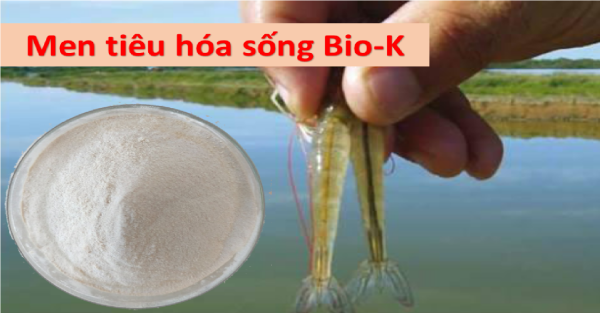 Men tiêu hóa cho thủy sản -BioK