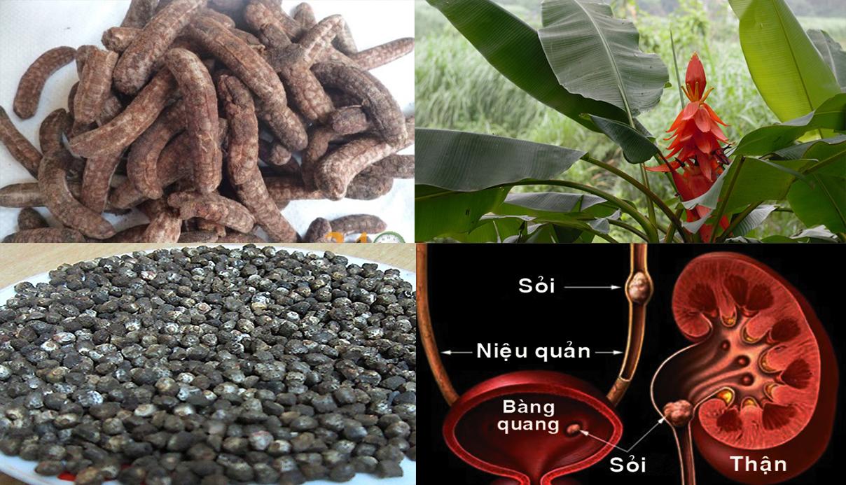 Hạt chuối rừng | Combo | Đơn 2kg