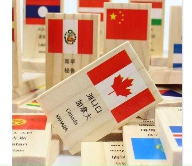 Đồ chơi Domino cờ gỗ 100 thanh