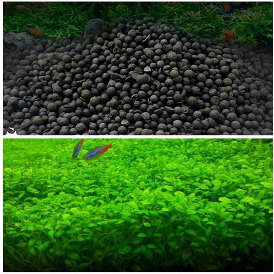 1000gram phân nền thủy sinh dành cho bể cá
