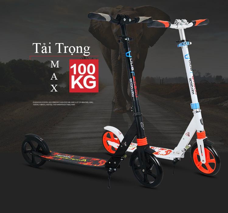 Adult Kick Scooter Y5 Foldable 2 big 200mm Wheel