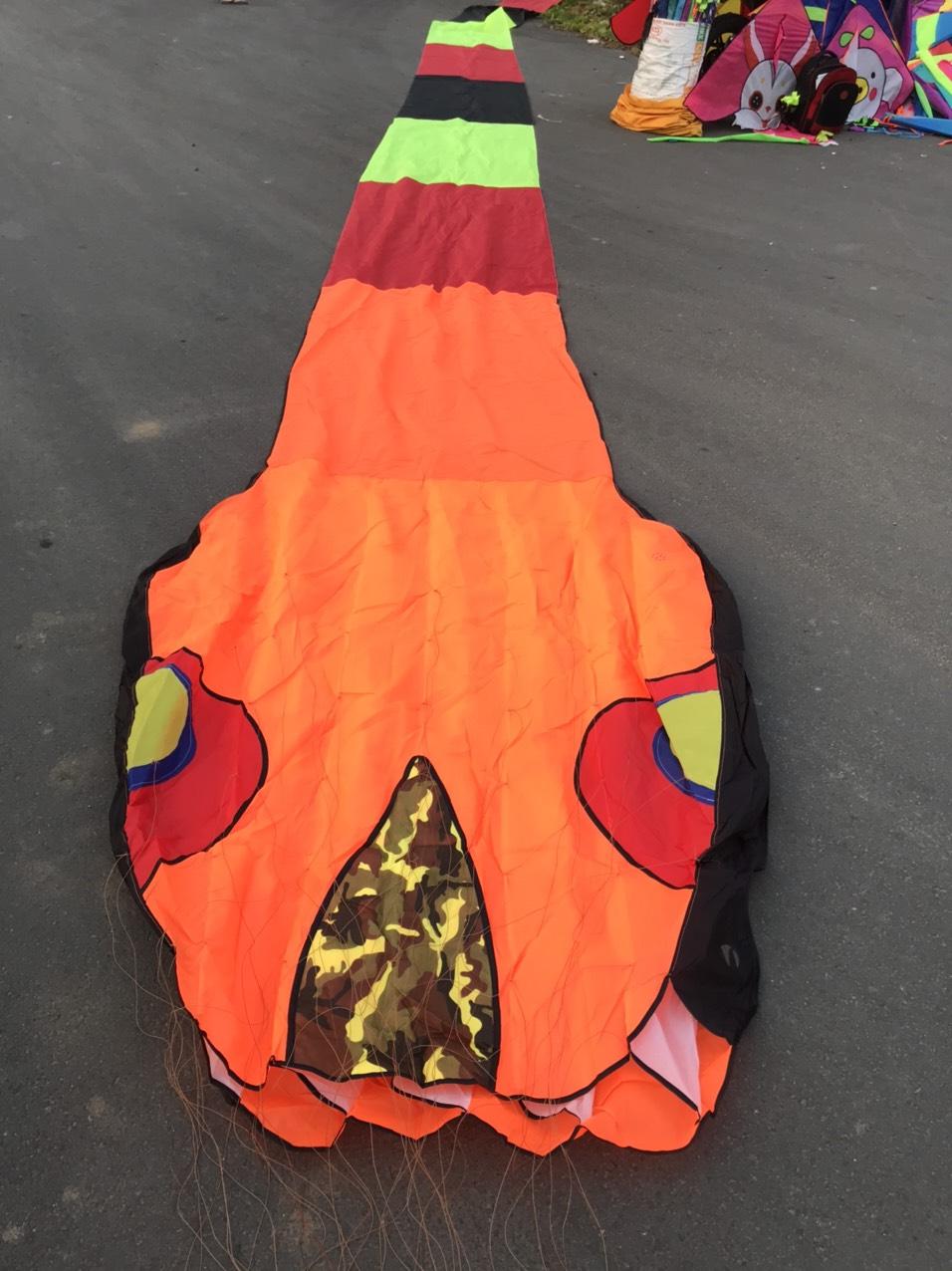 Kites - Diều hình con rắn dài 40m