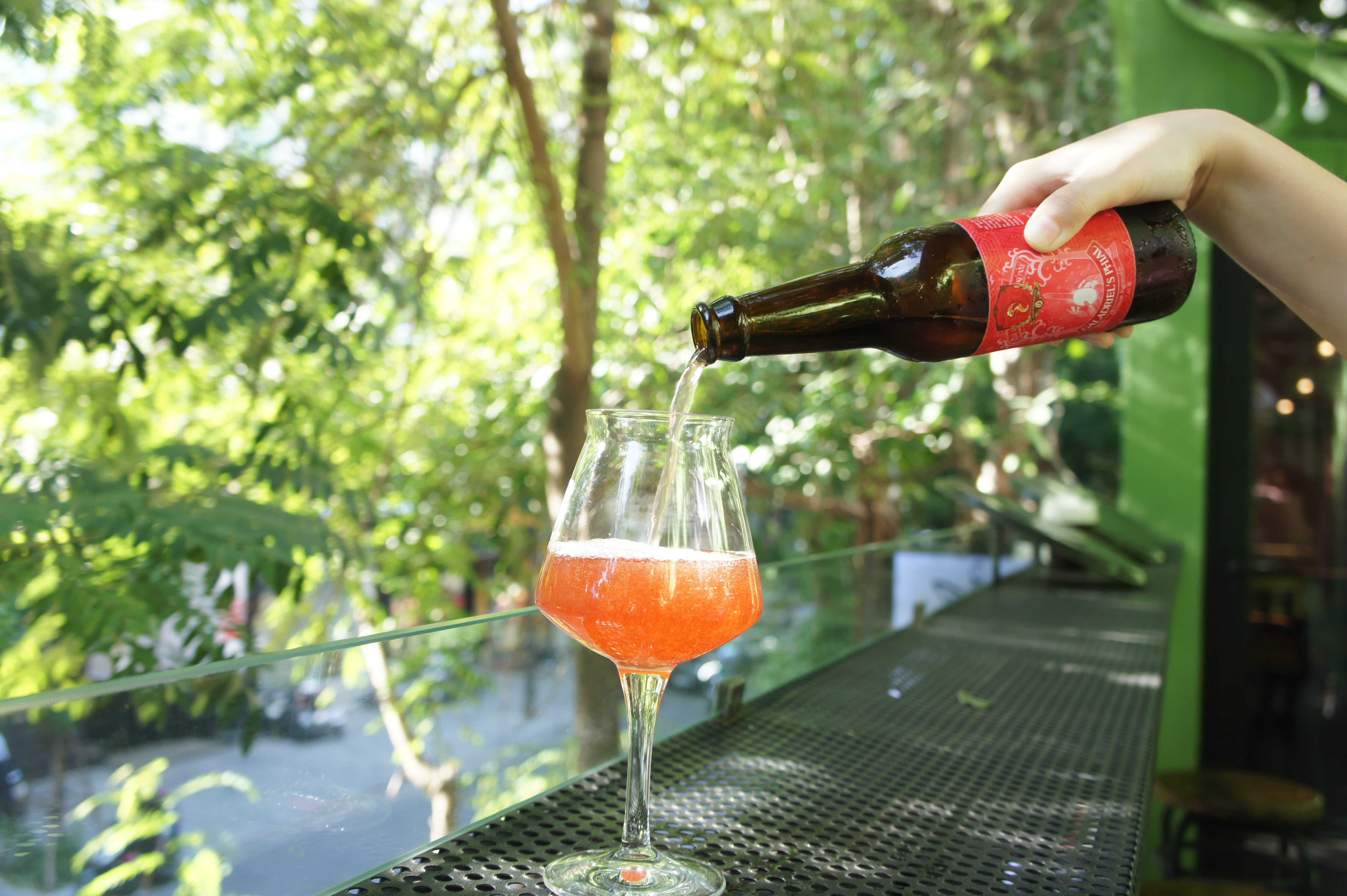 Trà lên men Kombucha Hibiscus