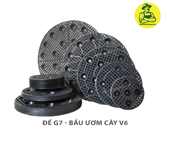 [HCM]Đế bầu G7 dùng cho Bầu ươm V6 -  60cm