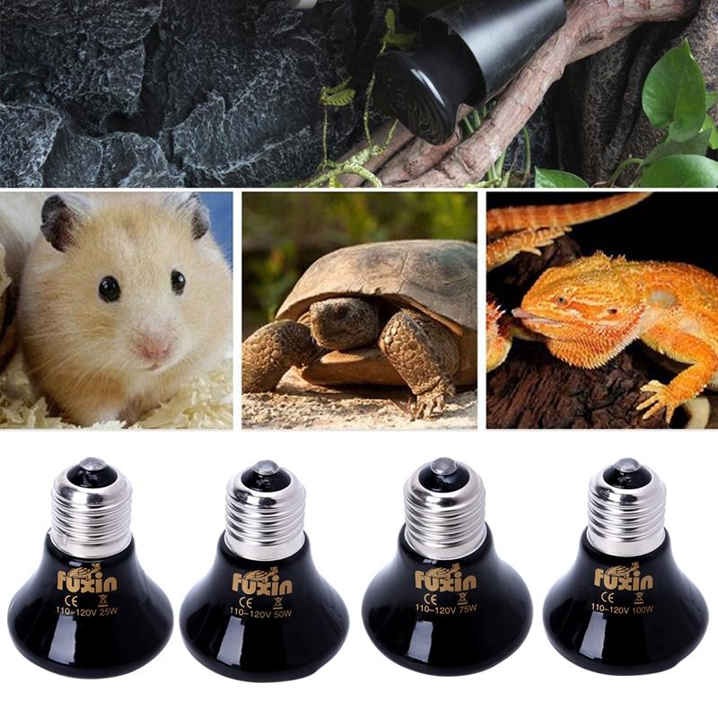 Đèn sưởi bằng sứ cho thú cưng 25/50/75/100W