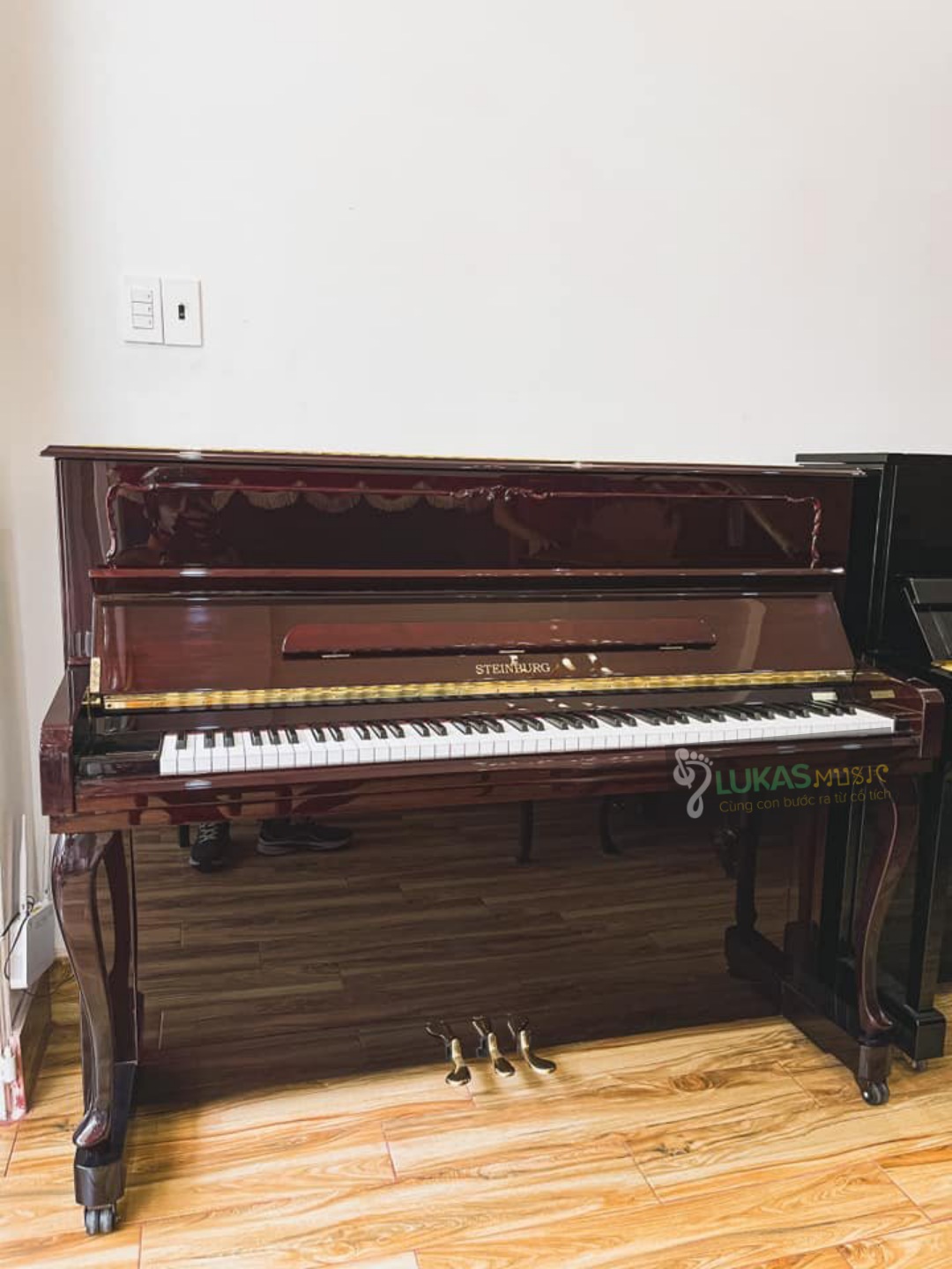 [HCM]ĐÀN PIANO STEINBURG - MP-119FCD