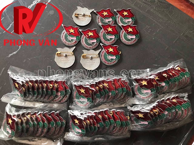 Set 10 huy hiệu đoàn
