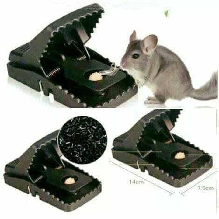 Bẫy Chuột Cực Nhậy, diệt chuột nhanh gọn