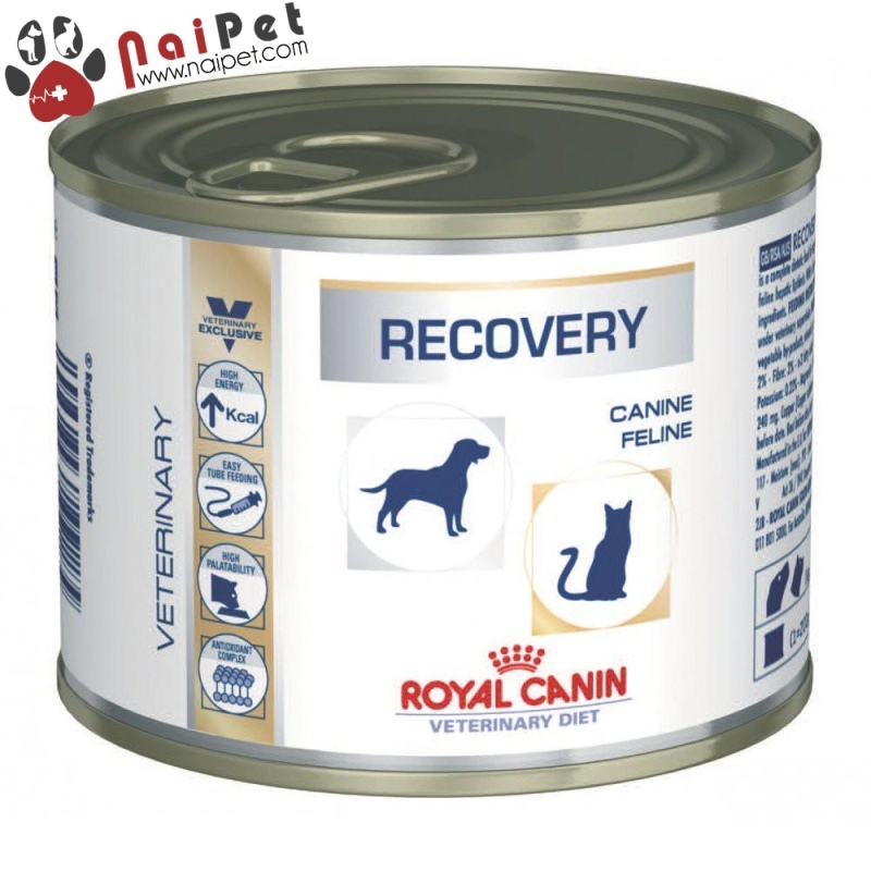Thức Ăn Dinh Dưỡng Pate Hỗ Trợ Phục Hồi Cho Chó Mèo Recovery Royal Canin Lon 195g
