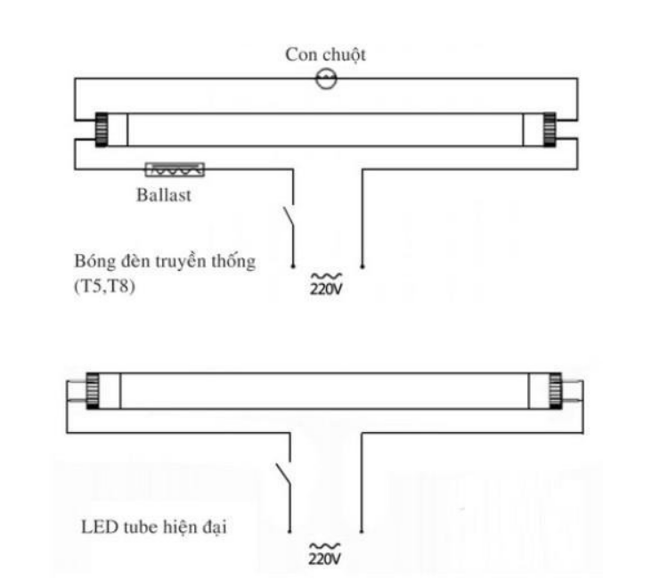 Combo 8 bóng đèn led tuýp 1.2m 20w Sáng trắng