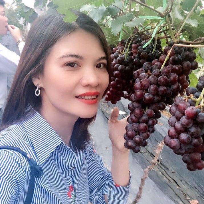 NHO HẠ ĐÊN KHÔNG HẠT  ( cây giống chuẩn , không bán gốc già )