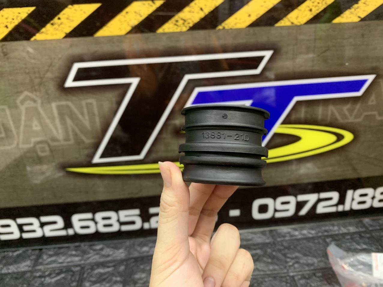 CO PÔ E SPORT ZIN - RGV