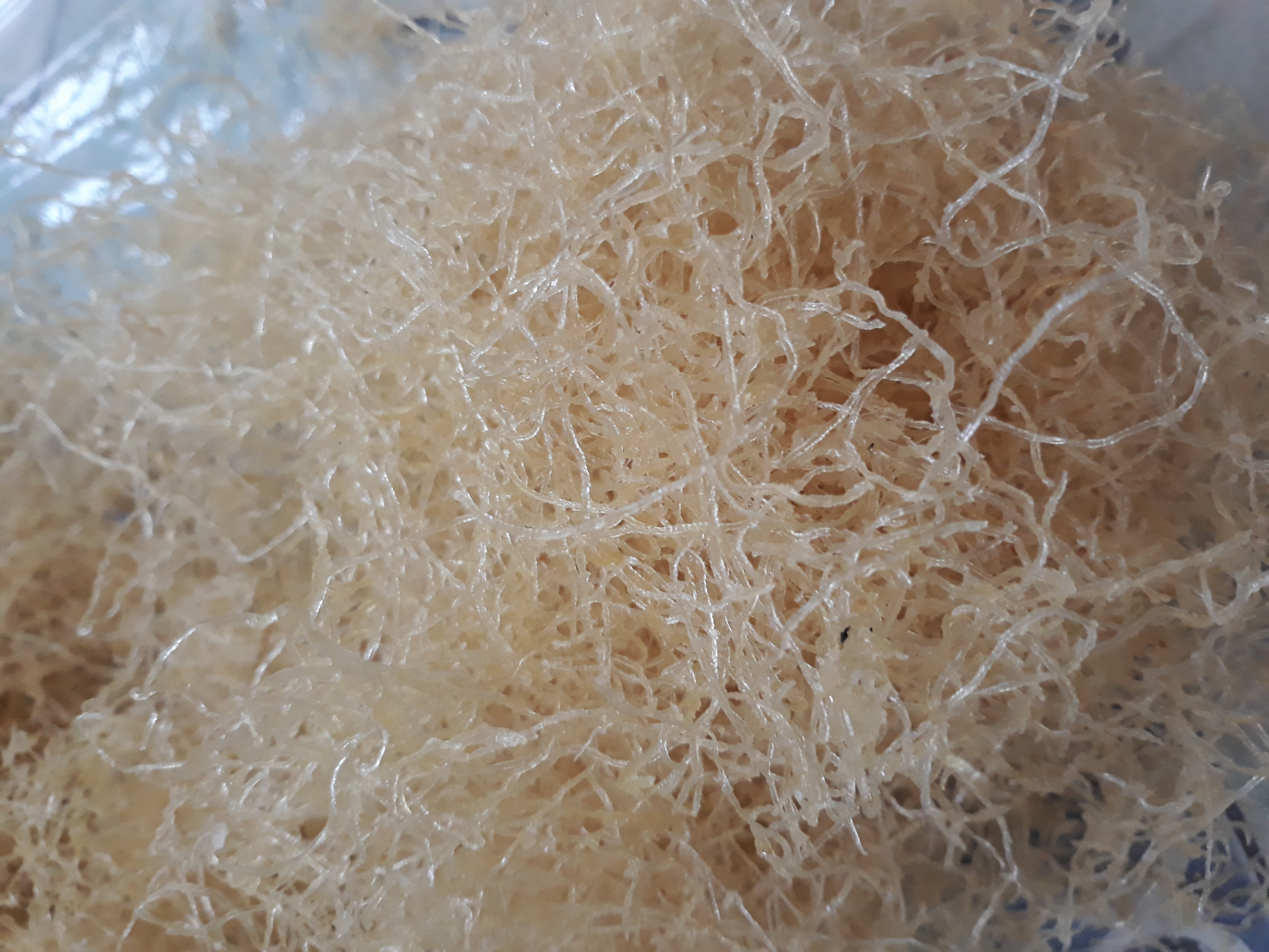 [HCM]BÌ CƠM TẤM SẤY KHÔ 1KG