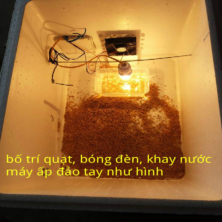 Máy ấp trứng ĐT90