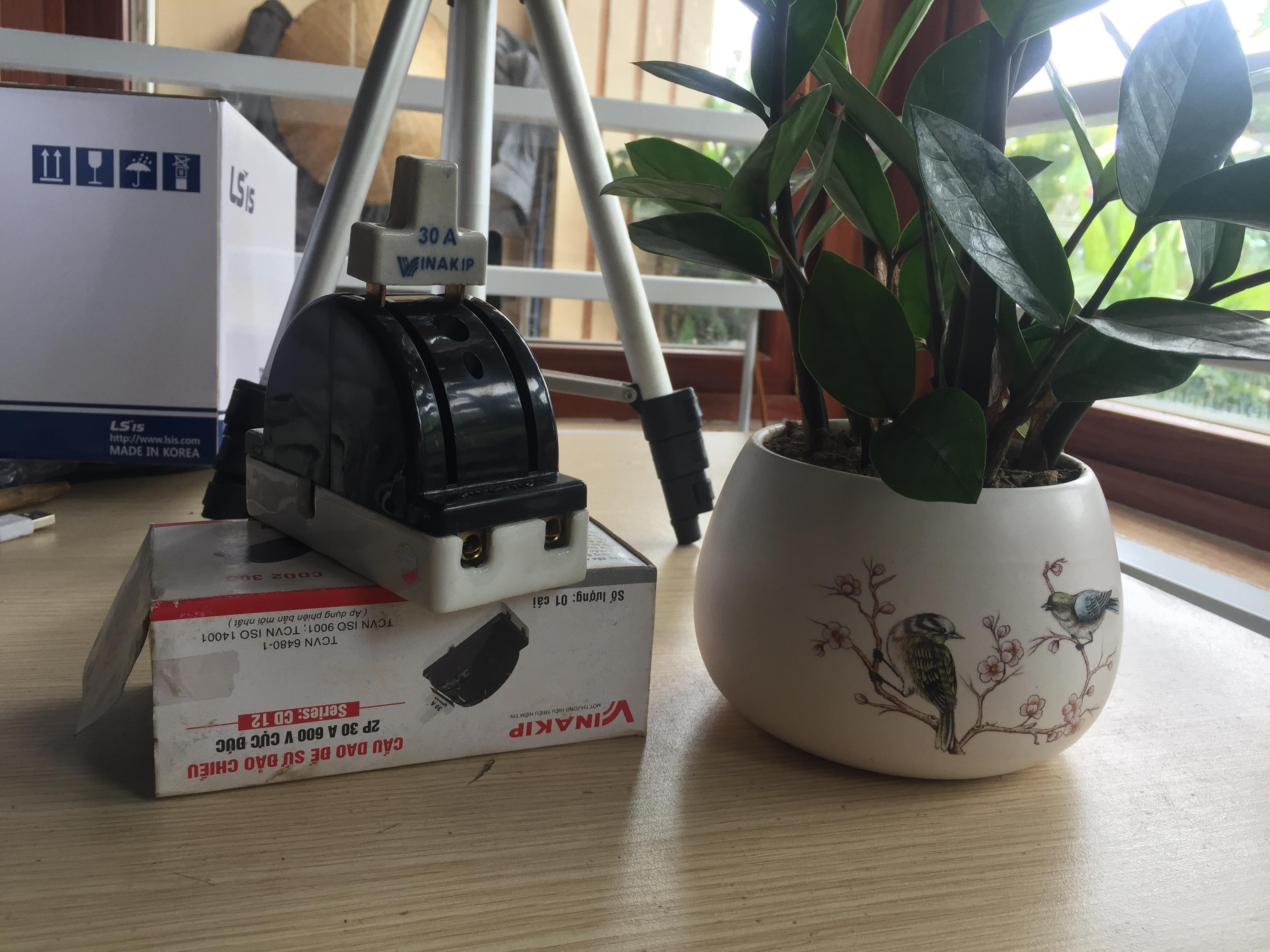 Cầu dao đảo 2 pha 30A