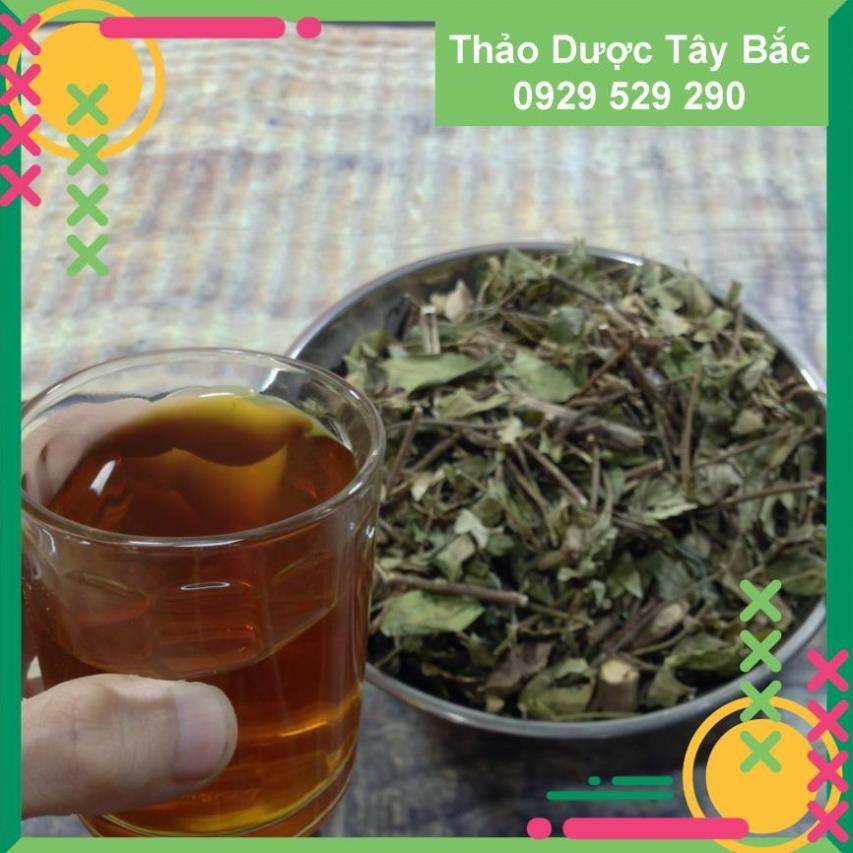 [Hình Thật - 2Kg] ✅✅  Dây Thìa Canh Thái Nguyên