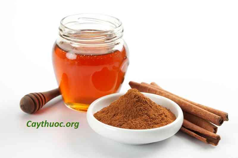 Tinh dầu hương Quế nguyên chất lọ 10ml.