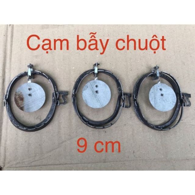 combo 15 cạm bẫy chuột