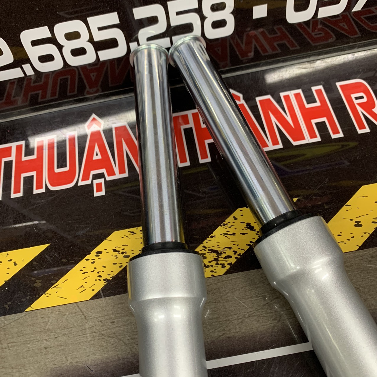 PHUỘC TRƯỚC SU VIVA ĐĨA - SPORT - ZIN