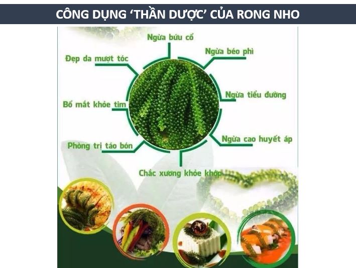 100gr Rong nho tách nước Khánh Hòa
