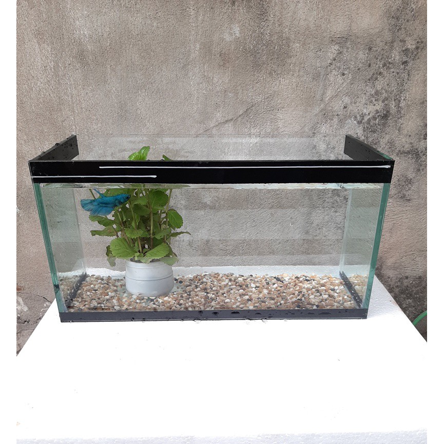 RBS Bể cá mini 30x15x18cm keo viền đen