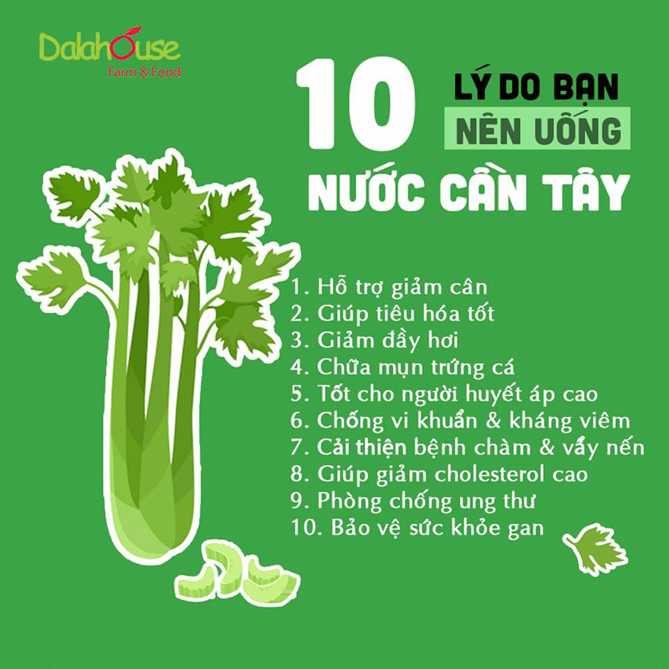 HỘP BỘT CẦN TÂY 150GR- NPP TDT