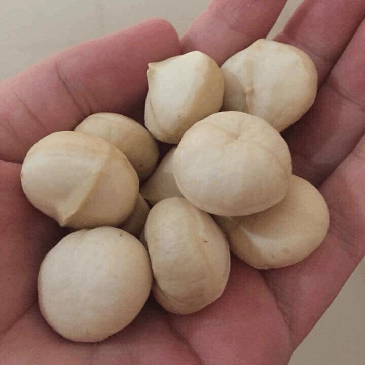500g Nhân Hạt Macca Sạch Di Linh Lâm Đồng