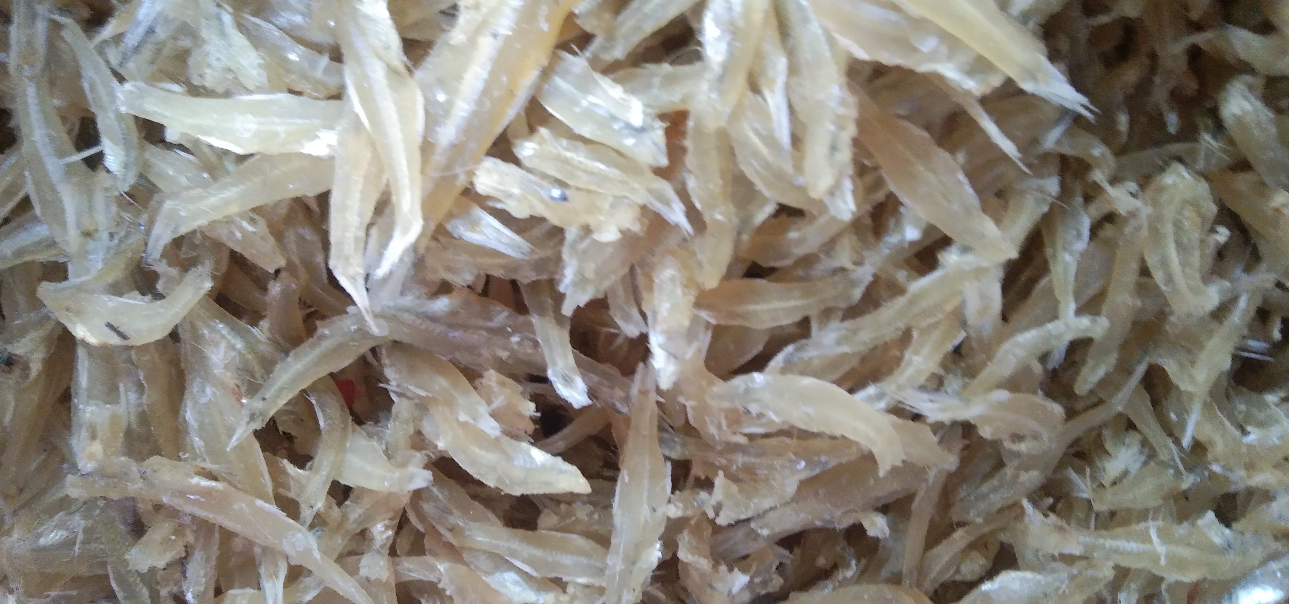 (SIÊU NGON) KHÔ CÁ CƠM