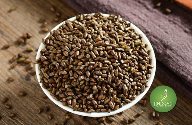 Thảo quyết minh (Hạt muồng muồng) gói 100gr thượng hạng JD130