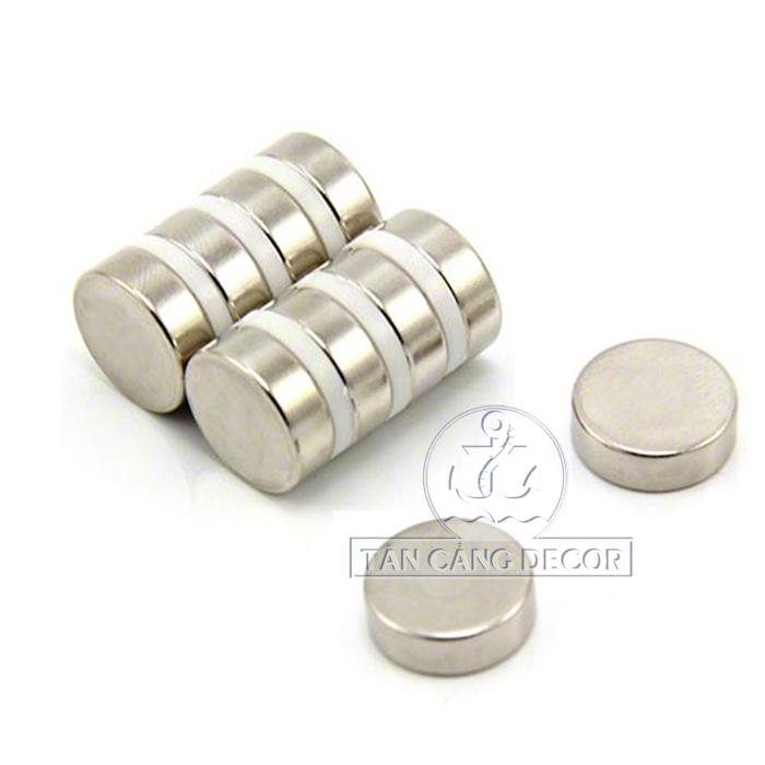 Nam châm tròn 15x5 mm