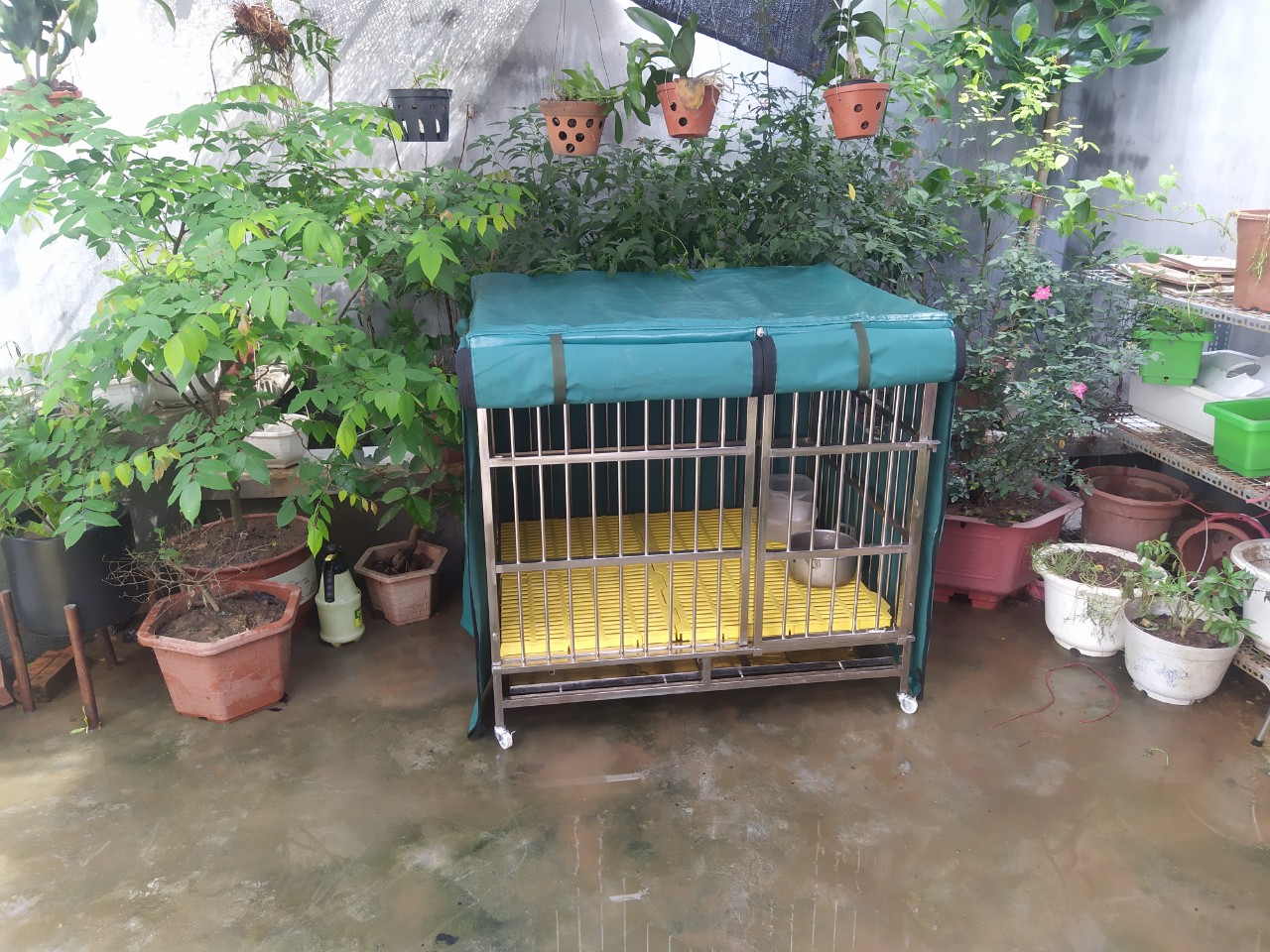Bạt phủ chuồng thú chất liệu bạt da Hàn Quốc
