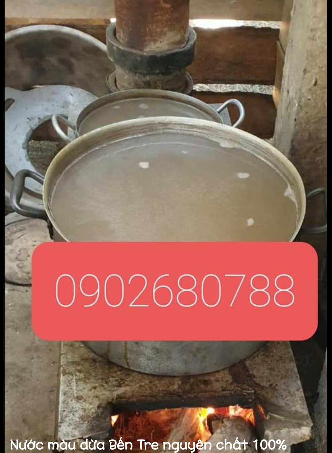 NƯỚC MÀU DỪA 100% NGUYÊN CHẤT BẾN TRE