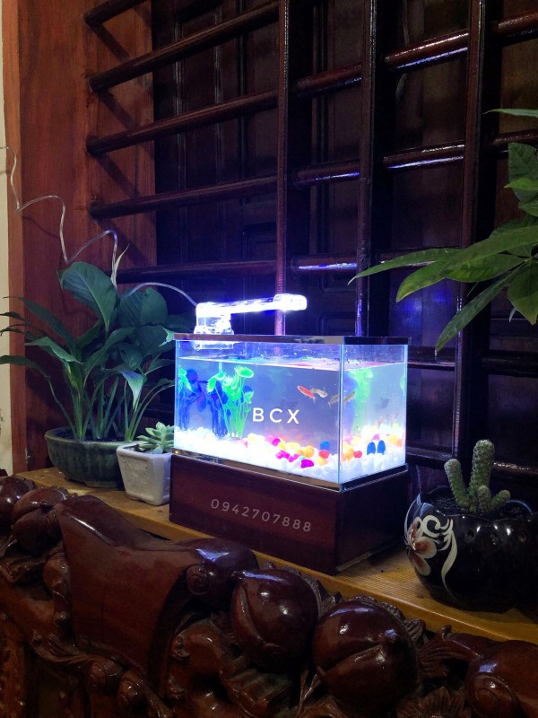 Set bể cá mini viền gương 25x13x15cm + đèn led 4w ( tặng đồ trang trí và đồ ăn cá)
