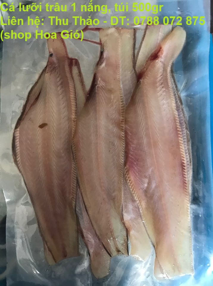 Cá lưỡi trâu 1 nắng biển cần giờ