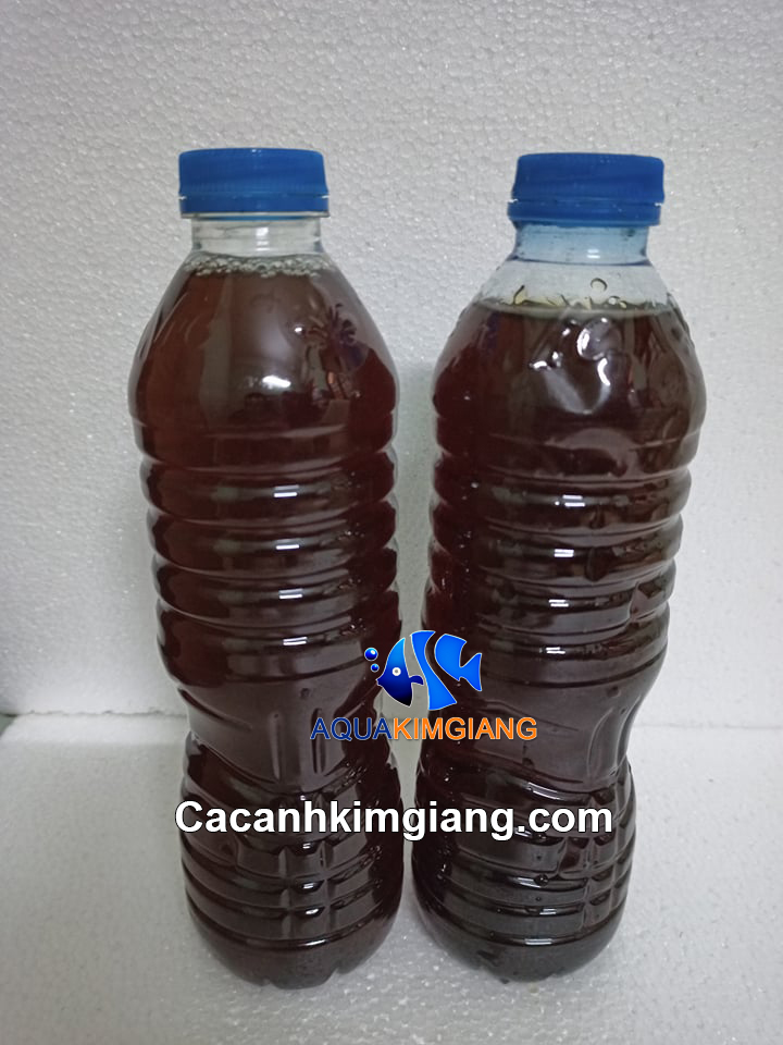 Nước cốt lá bàng khô