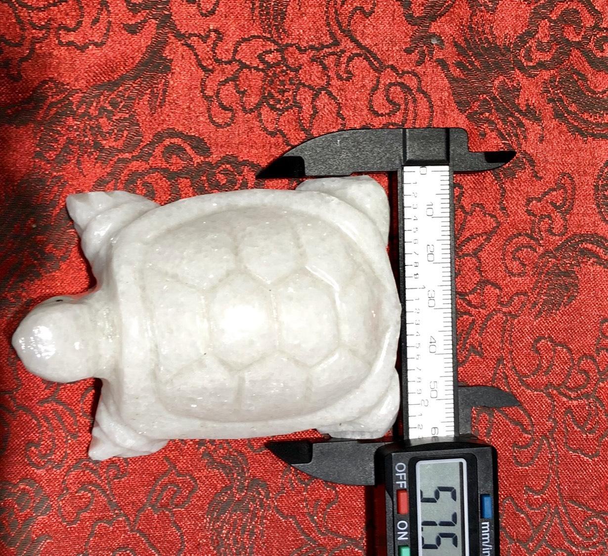 [FreeshipMAX] rùa đá trắng non nước