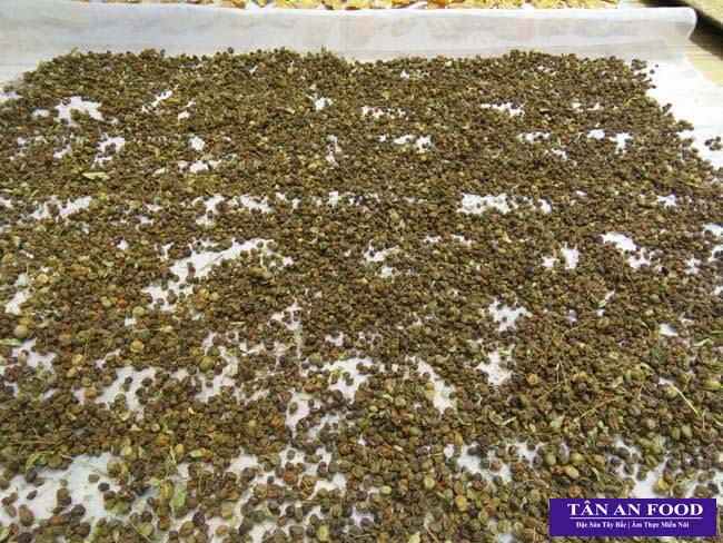 1Kg Quả Mắc Mật Khô Lạng Sơn - Móc Mật (Gia vị Tây Bắc)